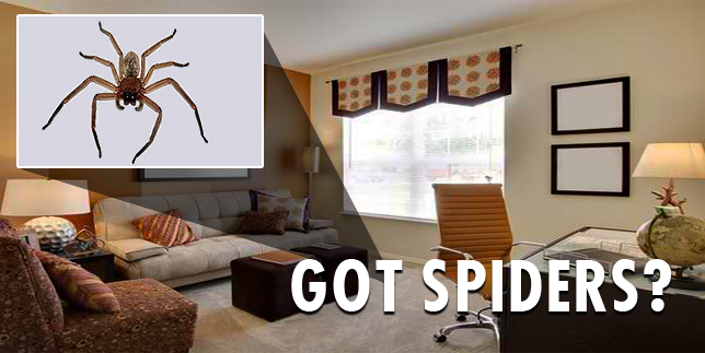 Image for City Best Pest Control with ID of: 714160