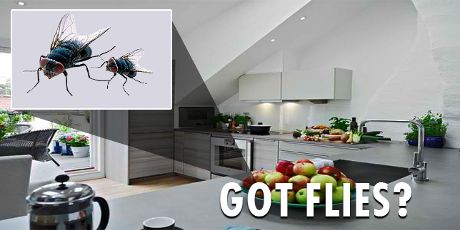 Image for City Best Pest Control with ID of: 714162