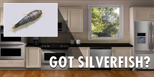 Image for City Best Pest Control with ID of: 714163