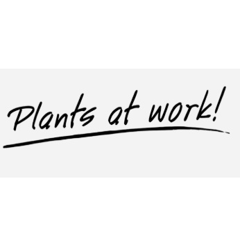 Image for Plants at Work with ID of: 7156398