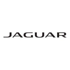 Image for Jaguar Servicing Guiseley with ID of: 7157769