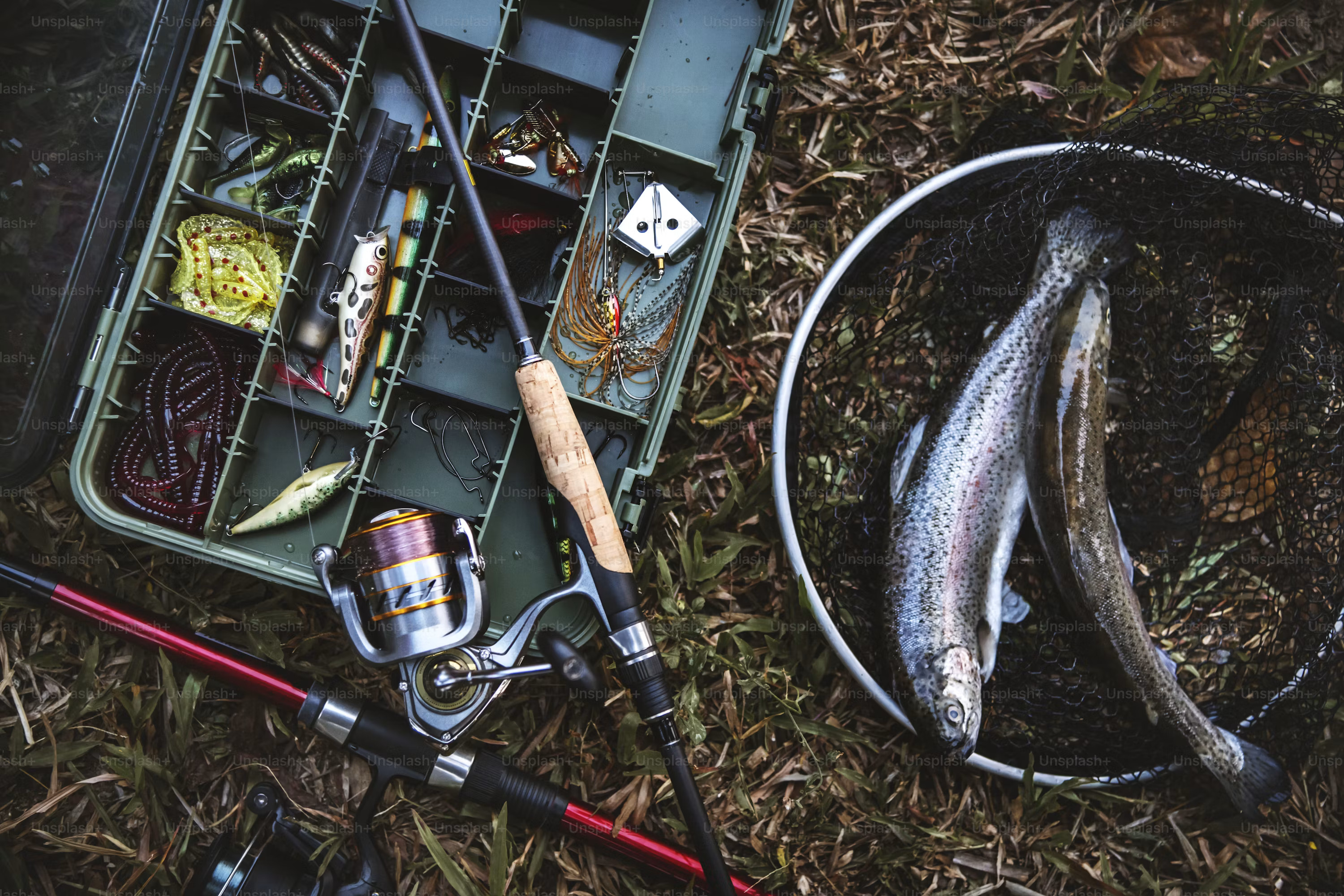 Image for Mastering Long-Distance Casting with the Right Fishing Reel: Using Baitcaster Fishing Reels for Accuracy with ID of: 7158569