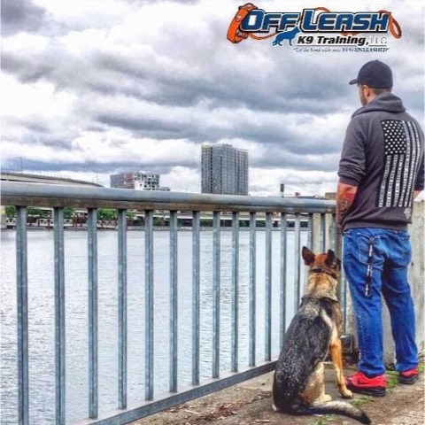 Image for Off Leash K9 Training Portland with ID of: 7160267