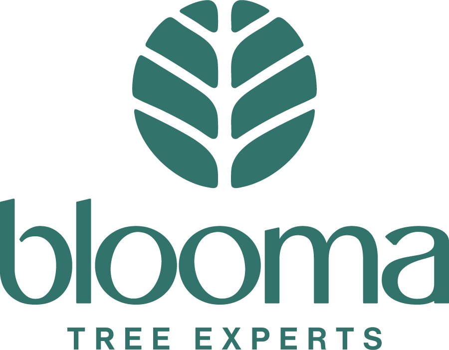 Image for Blooma Tree Experts with ID of: 7166606