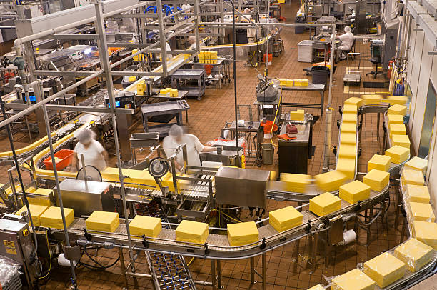Image for Cheese Manufacturing Plant Cost 2026: Setup Details, Capital Investments & Business Plan with ID of: 7171963