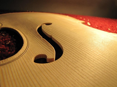 Image for Fegley Instruments and Bows with ID of: 717558