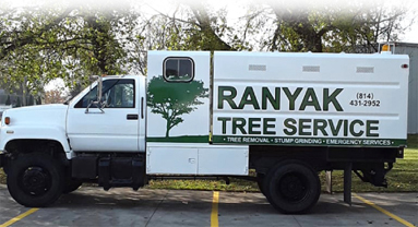 Image for Ranyak Tree Service with ID of: 7181959