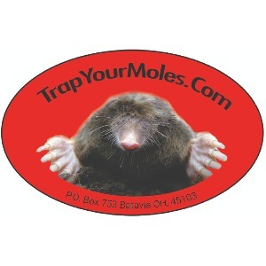 Image for Trap Your Moles with ID of: 7189907