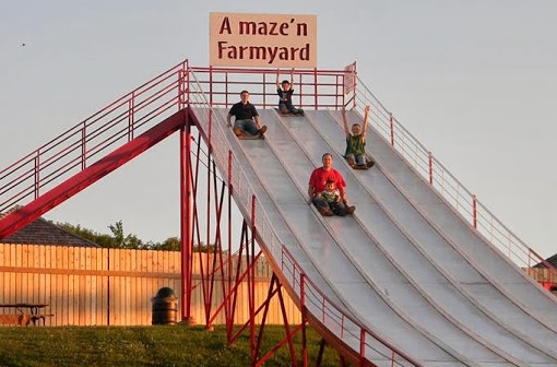 Image for A Maze'n Farmyard LLC with ID of: 719222