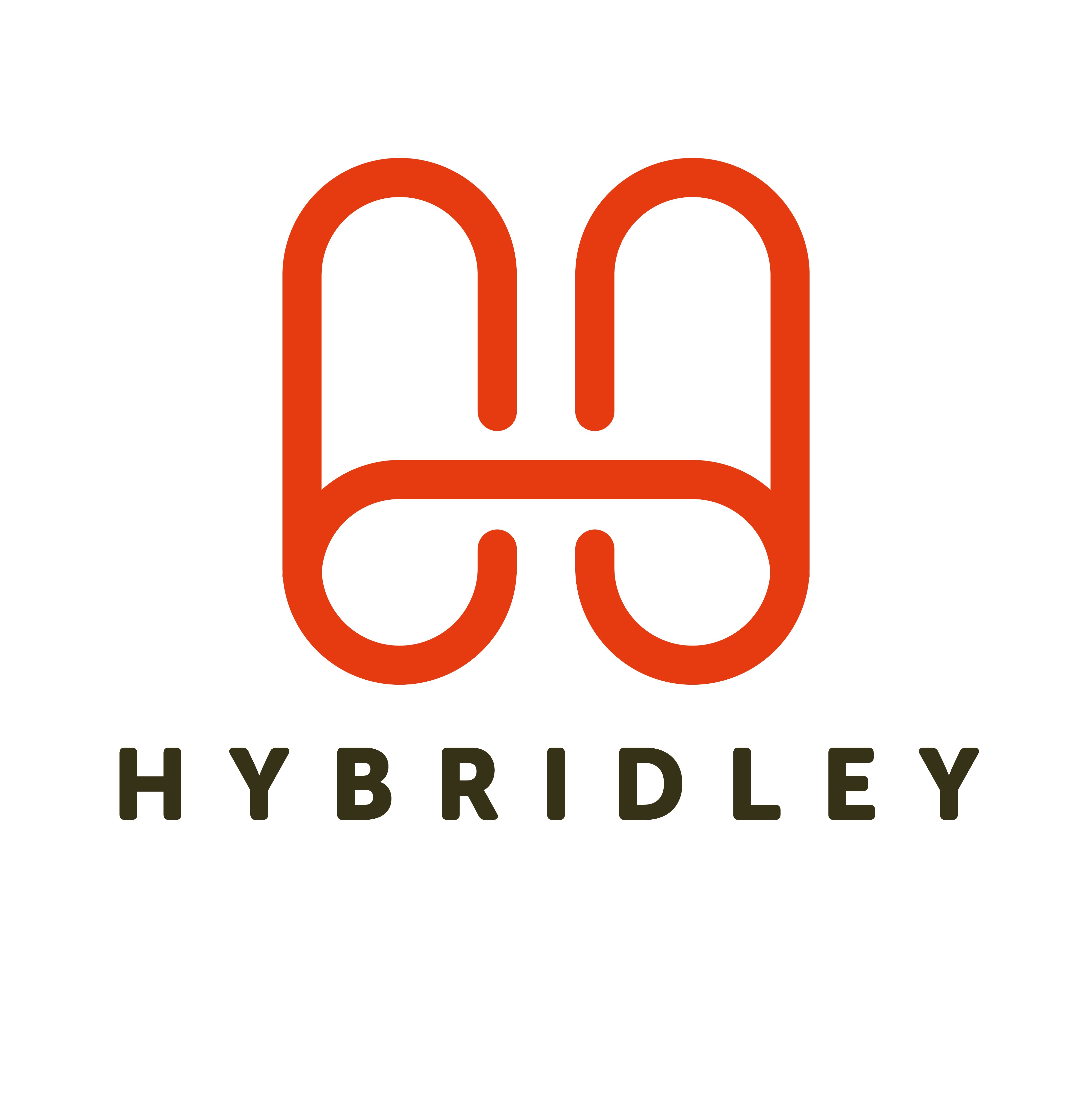 Image for HYBRIDLEY with ID of: 7192228