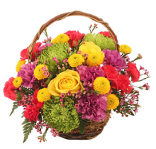 Image for Kanab Floral with ID of: 7196136