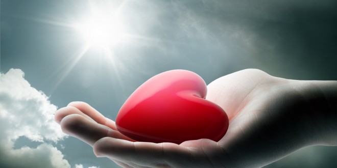 Image for Surviving Heart Surgery with ID of: 719911