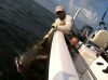 Image for Reel Intense Inshore Charters with ID of: 720329