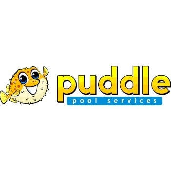 Image for Puddle Pool Services with ID of: 7213095