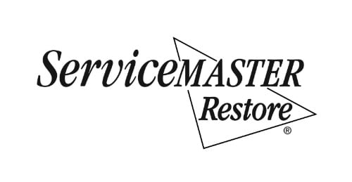 Image for ServiceMaster Albino with ID of: 7213159