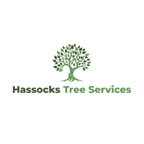 Image for Hassocks Tree Services with ID of: 7215594