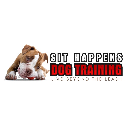 Image for Sit Happens Dog Training Miami LLC with ID of: 7216663