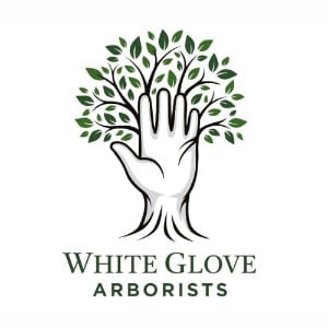 Image for White Glove Arborists with ID of: 7216935