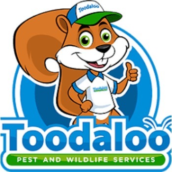 Image for Toodaloo Pest Control with ID of: 7217507