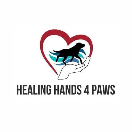 Image for Hands 4 Paws Canine Rehabilitation with ID of: 7217553