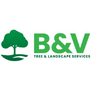Image for B & V Tree & Landscape Services with ID of: 7218358