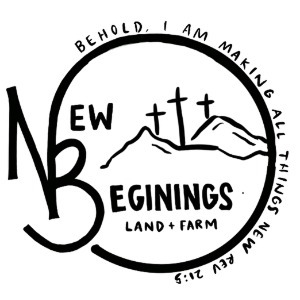 Image for New Beginnings Concrete with ID of: 7222933