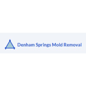 Image for Denham Springs Mold Removal with ID of: 7232974