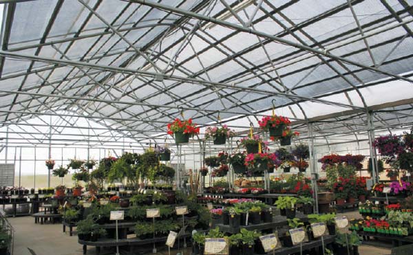 Image for Cultivate with ID of: 731941