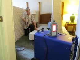 Image for ThermalKill Bed Bug Removal with ID of: 734448