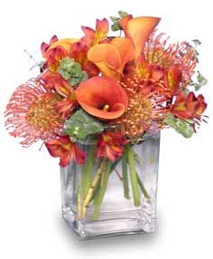 Image for Scent & Violet with ID of: 734683