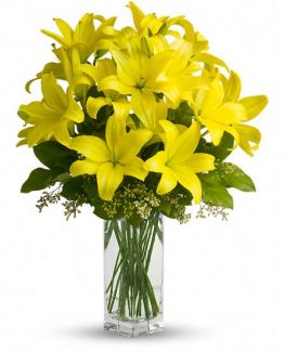 Image for Scent & Violet with ID of: 734684