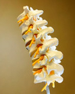 Image for Mulhall Family Chiropractic with ID of: 736752