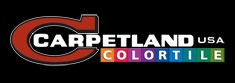 Image for Carpetland USA with ID of: 737674