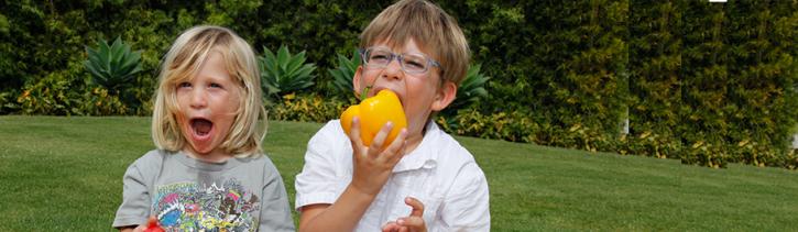 Image for Farm Box LA with ID of: 738166