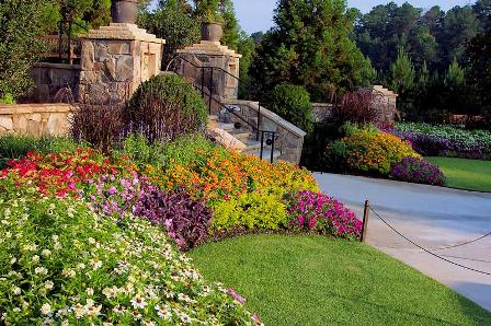 Image for White Oak Landscape with ID of: 740170