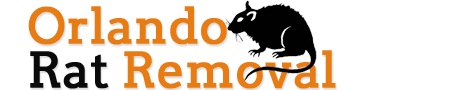 Image for Ratremovalorlandofl with ID of: 740625