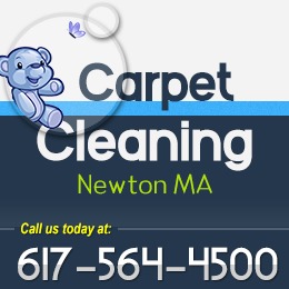 Image for Carpet Cleaning Newton MA with ID of: 741828