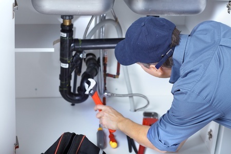 Image for Paradise Plumbing & Drain Cleaning with ID of: 746992