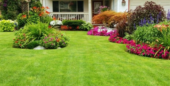 Image for Garden Exchange (Ltd) with ID of: 747380