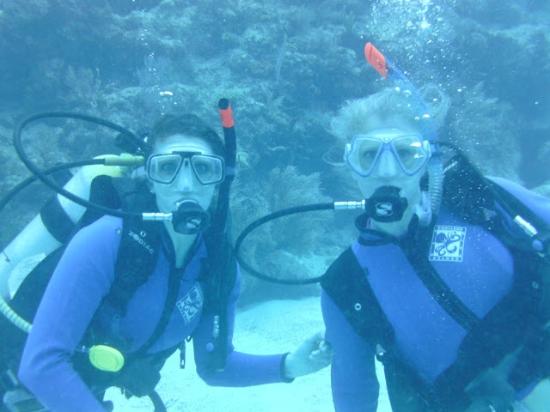 Image for Sea Dwellers Dive Center with ID of: 747884