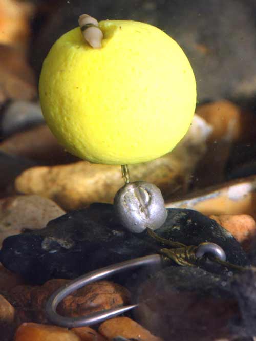 Image for Carp Fishing Rigs with ID of: 753650