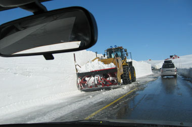 Image for Modern Auto Glass with ID of: 753871