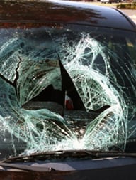 Image for Modern Auto Glass with ID of: 753878