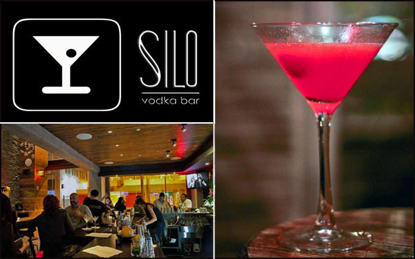 Image for Silo Vodka Bar with ID of: 754788