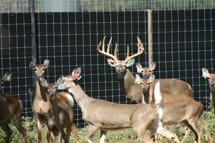 Image for Eight Point Ranch with ID of: 755615