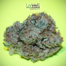 Image for LivWell with ID of: 756055