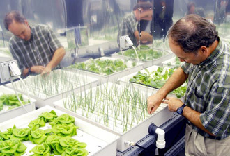 Image for Cultivate with ID of: 757396