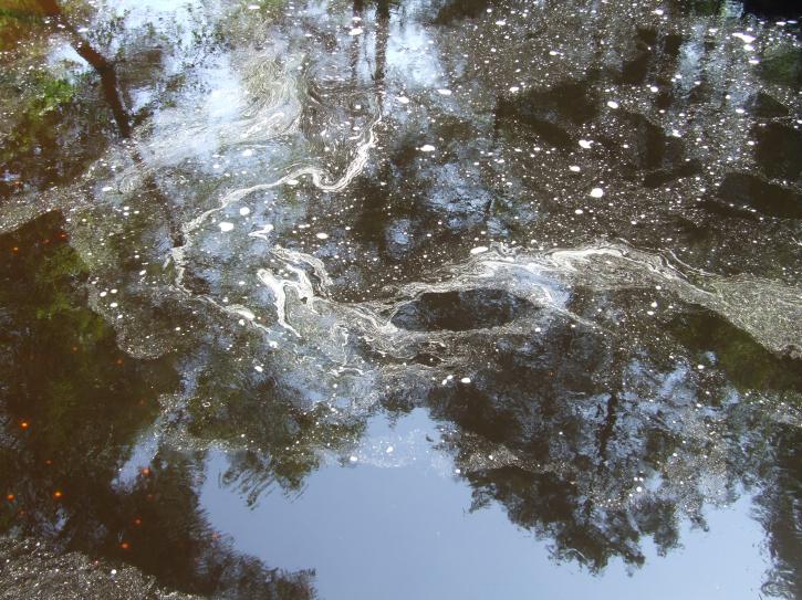 Image for Watery Spirit with ID of: 82557
