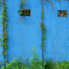 Image for why so blue? with ID of: 84378