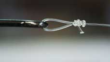 Image for Fishing Knots with ID of: 771528